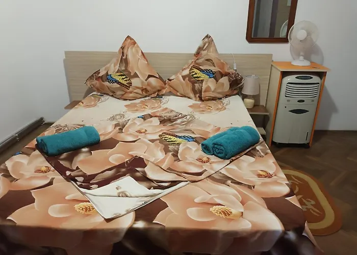 Casa Gabriela * Eforie Nord